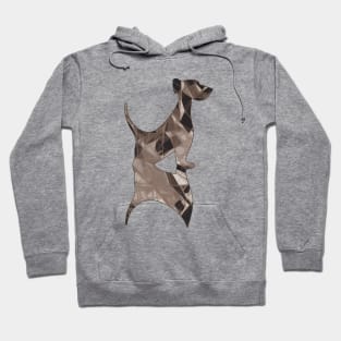 dog k2 Hoodie